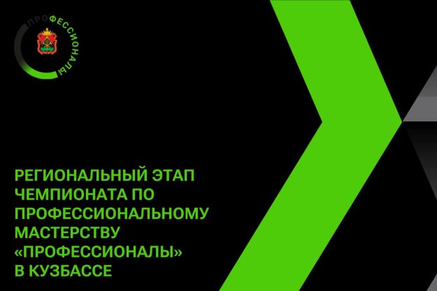 Баннеры 3x2m — Профессионалы 2024 РЧ_8 (1)